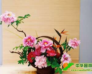 牡丹在传统插花中的应用