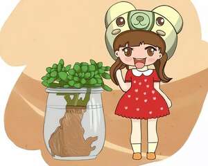 养根就得用这土，根系越养越壮，包你全年不烂根！