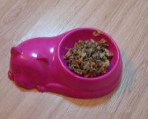 【美食攻略】自制猫咪鳕鱼餐