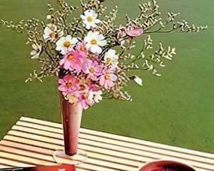 春节插花保鲜妙招