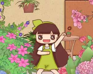 这6种花养好了，家里秒变花海，一年四季有花看！