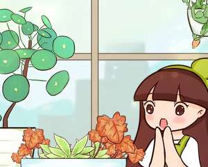 别养绿萝了，20种耐阴花，随便一盆惊艳全场！