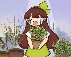10种花，现在千万别买，养不活浪费钱！
