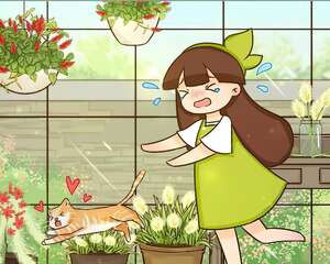 18种小众花，有趣的人都在养，开花绝对惊艳！