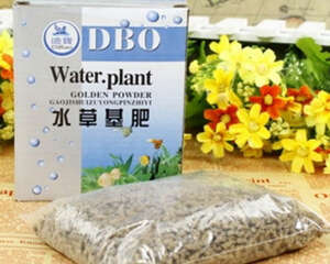 水族箱水草需要什么营养？