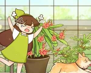 路边捡的枝条，回来一插就活，长成大花树了！