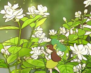 茉莉怎么养？多晒、狠剪，蹭蹭长爆盆！