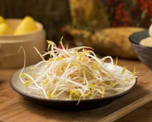豆芽的养殖方法
