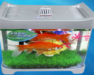 观赏鱼鱼缸的玻璃胶怎么选？