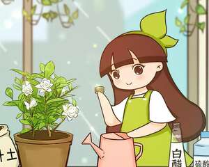10种花爱喝醋，浇水加点酸，叶子油亮爱开花！