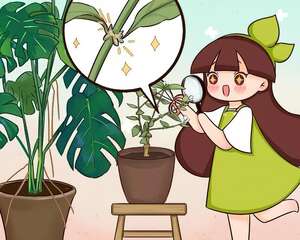 7种花不用扦插，枝条自带“生根器”，沾土就活！