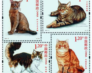 猫邮票赏析