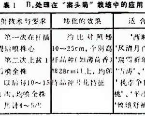 植物激素在花卉中的应用