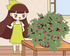 15种香水花，一间房摆一盆，满屋子都是香味！