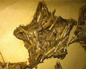 【美食攻略】自制兔兔吃的草饼