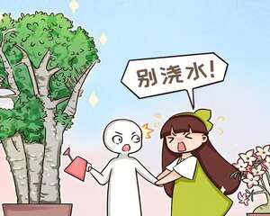 最耐旱的花，2个月不浇水，叶子反而绿油油！