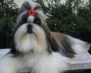 常备的美容工具有哪些