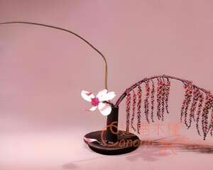 书房插花DIY