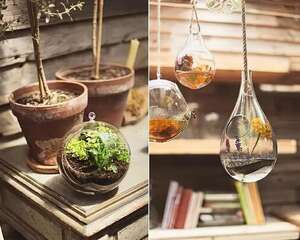 空间小？一样可以种花种肉种小草