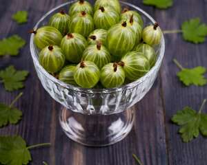 灯笼果的功效与作用