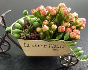 初入肉坑惹出来的笑话，你都经历过哪几个？