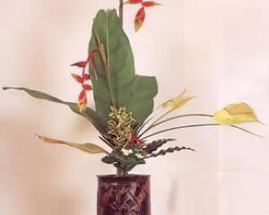 植物本色（图）