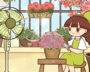 玛格丽特花怎么养？猛剪、多晒，个个开成大花球！