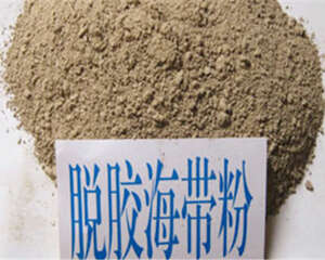 龟食用海带粉的制作工艺