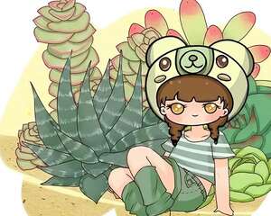 这8种多肉，最适合秋季养，错过后悔一整年！