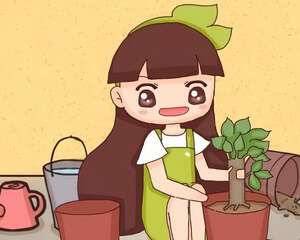 ​9月养花，这6件事必须做，千万别松懈！