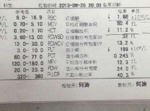 一例金毛犬的肠套叠整复术