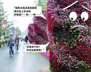 辽宁沈阳：大片鲜花被拽掉 街边花柱脸长疤