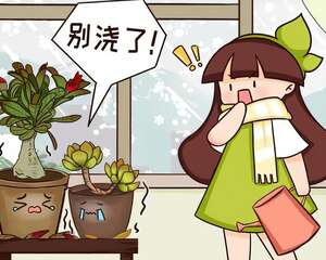 5度以下，这花必须断水，一冬天不浇水也能活