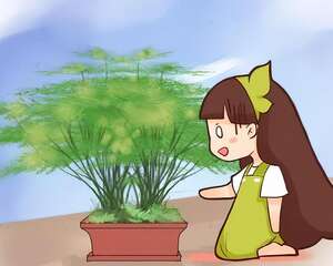 这花狠心剃光头，一个月就爆盆，越砍越疯长！