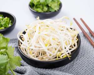 怎么种豆芽