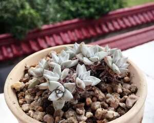 对比帖最有成就感！3个月的蜕变！包邮区此时不晒，更待何时！