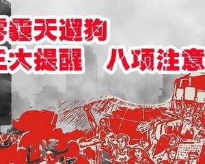 宠物营养师王天飞：雾霾天遛狗的三大提醒八项注意