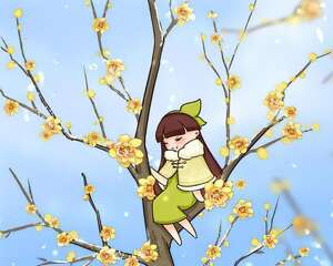 大雪天，只有这花活着，还在开花！