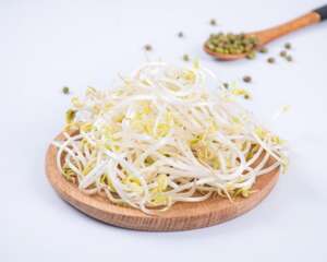 给豆子洒点水，3天就长成豆芽，炒菜好滋味！