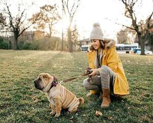 遛狗前需要准备的物品都有哪些？