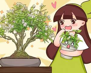 这花养在小盆里，2年变老桩，茎干粗壮开花香，1次能开50朵！