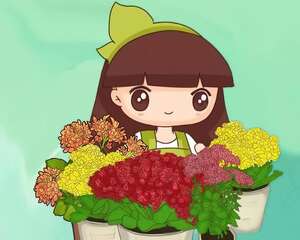 花叶子长这样，就是求救信号，不管全都死翘翘！