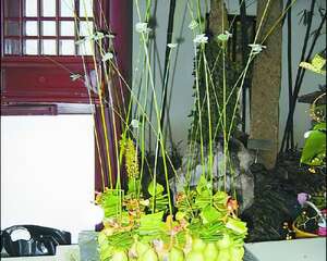 清风明月聊婆娑