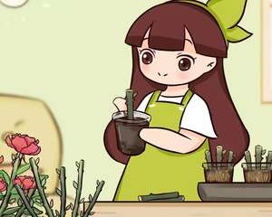 这花掰个大粗杆，土里一插，7天生根，俩月爆出满盆花！