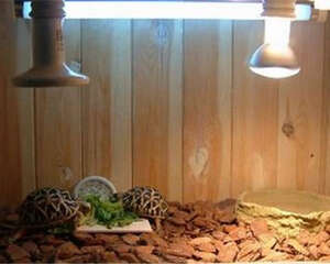 如何辨别UVB的真假?