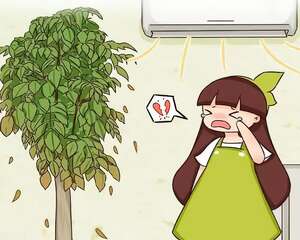 这花得了暖气病，叶子哗哗掉，再不管成光杆了！