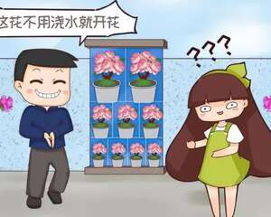 买花听到这4句话，掉头就走，头也别回！