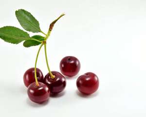 樱桃里面有虫能吃吗