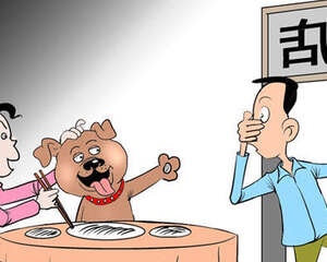 带狗狗上饭桌是否可取