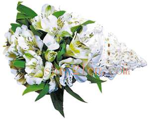 妆点水感凉爽风情